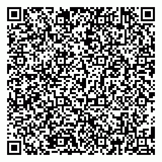 vCard 79185001363