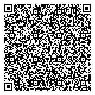 vCard 79185001390