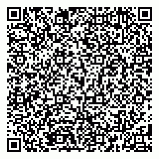 vCard 79185001399