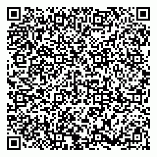 vCard 79185001739