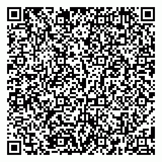 vCard 79185001999