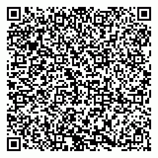 vCard 79185002585