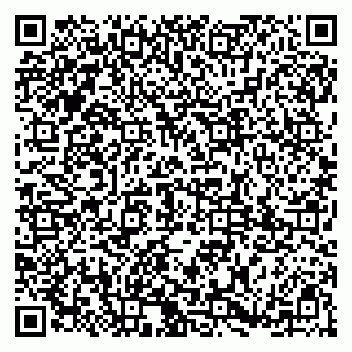 vCard 79185002702