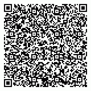 vCard 79185002709
