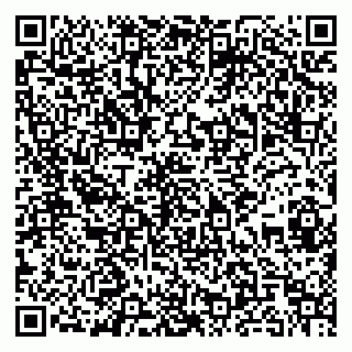 vCard 79185002841