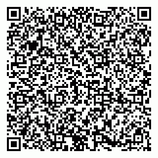 vCard 79185002903