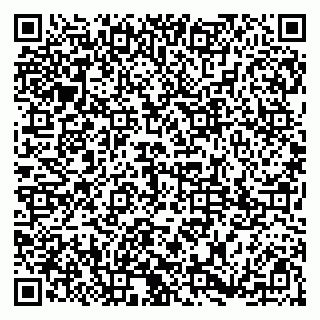 vCard 79185003013