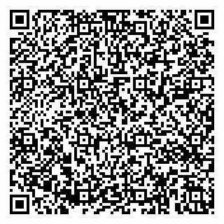 vCard 79185003017