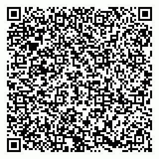 vCard 79185003029