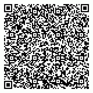 vCard 79185003038