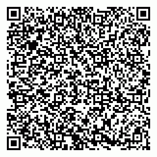 vCard 79185003100