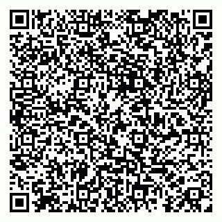 vCard 79185003103