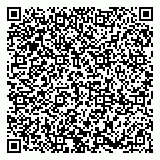vCard 79185003132