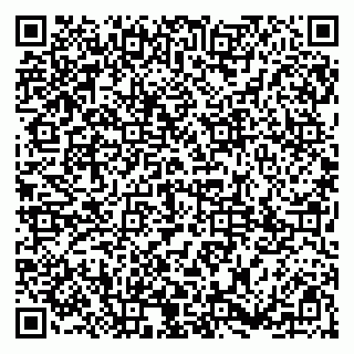 vCard 79185003133
