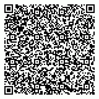 vCard 79185003140