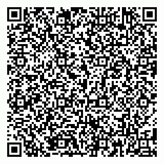 vCard 79185003173
