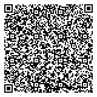 vCard 79185003174