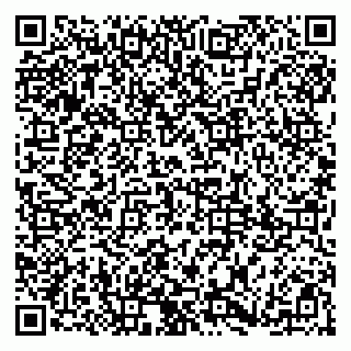 vCard 79185003181