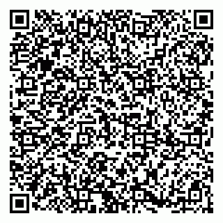 vCard 79185003200
