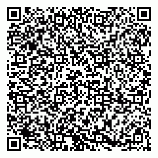 vCard 79185003203