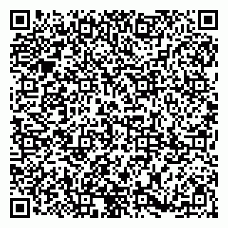 vCard 79185003205