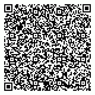 vCard 79185003208