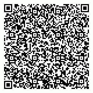 vCard 79185003211