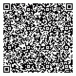 vCard 79185003217