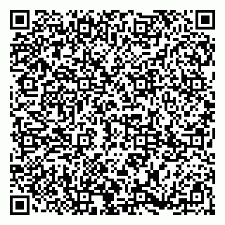 vCard 79185003218