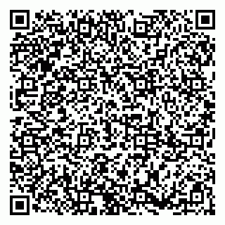 vCard 79185003231