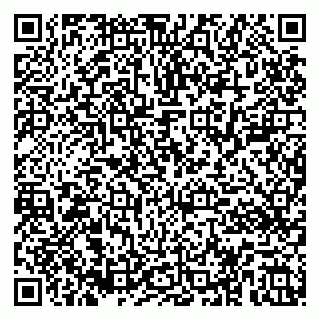 vCard 79185003238