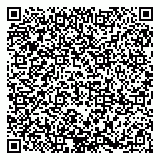vCard 79185003271
