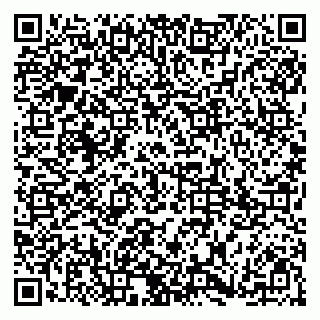 vCard 79185003287