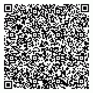 vCard 79185003294