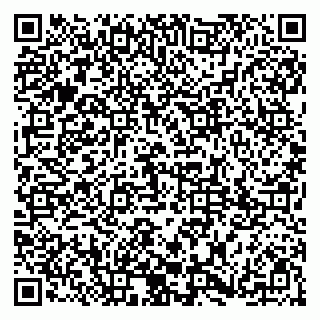 vCard 79185003295
