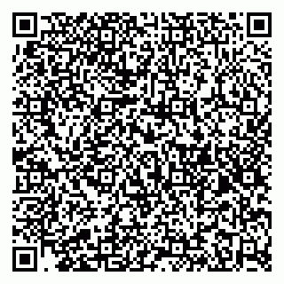 vCard 79185003304