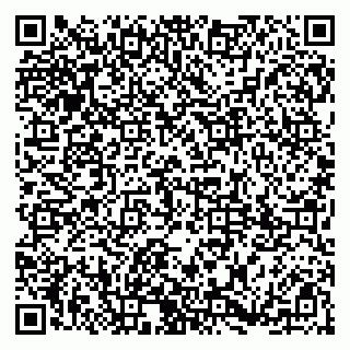 vCard 79185003313