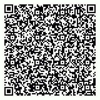 vCard 79185003317