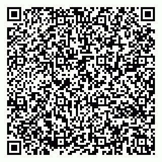 vCard 79185003324