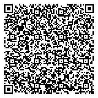 vCard 79185003328