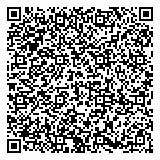 vCard 79185003329