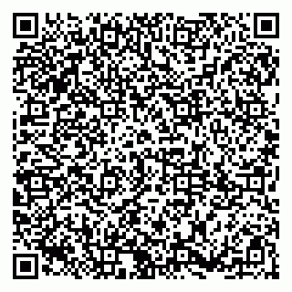 vCard 79185003331