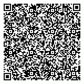 vCard 79185003333
