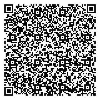 vCard 79185003335