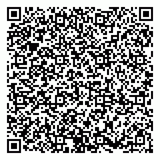 vCard 79185003337