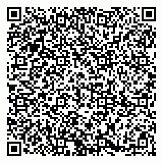vCard 79185003341