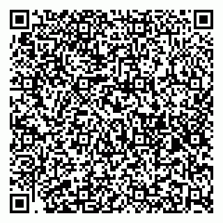 vCard 79185003361