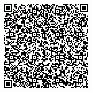vCard 79185003369