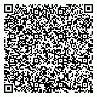 vCard 79185003382