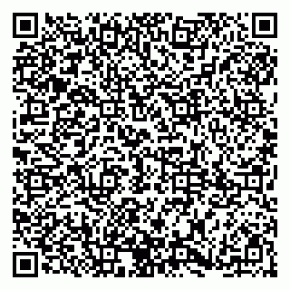 vCard 79185003385